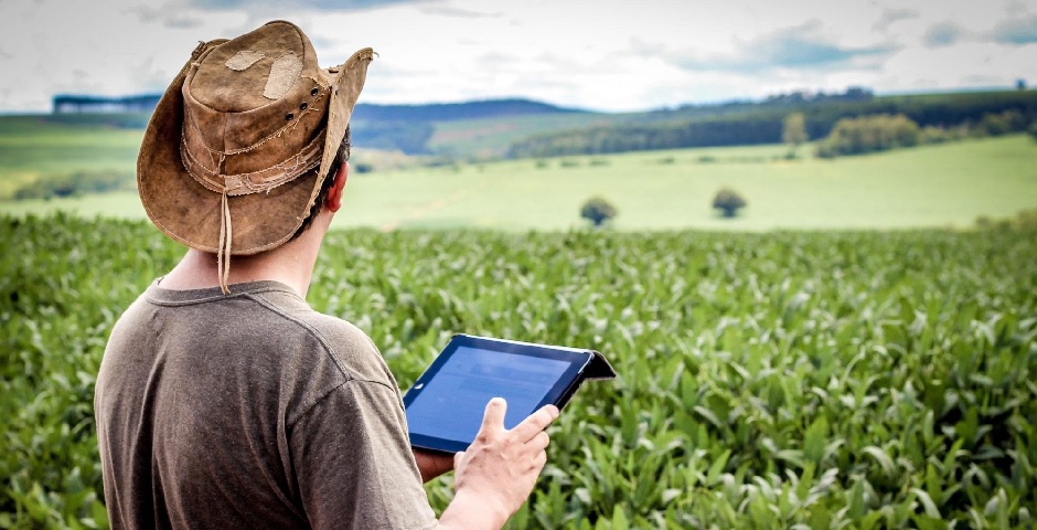 Com a parceria, estudantes vão interagir com empresas nacionais e multinacionais, criar inovações e usar a tecnologia para fortalecer o agronegócio brasileiro
