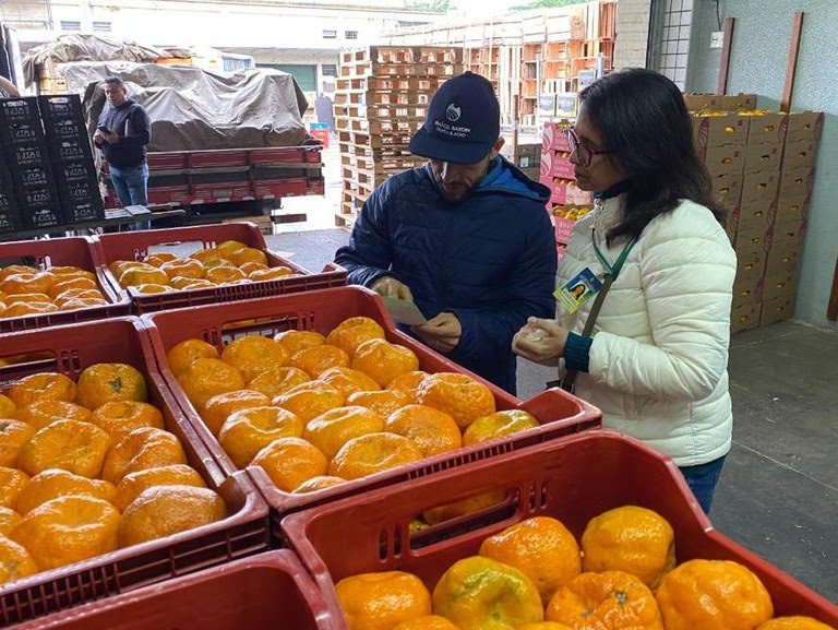 A força-tarefa também avaliou a rastreabilidade de produtos e verificou falha generalizada nas informações de procedência dos produtos fiscalizados. 