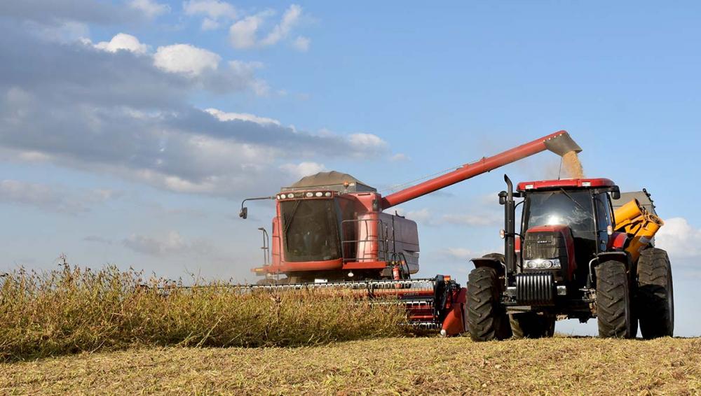 Dominante no Brasil para produção de grãos, o sistema de plantio direto ocupa quase 70% das áreas agrícolas e mais de 95% da área plantada da soja. Fotos Toninho Anhaia