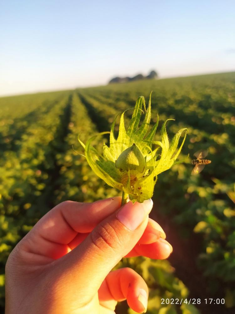 O selo Parceiros da A.B.E.L.H.A, conferido a empresas que contribuem para a promoção da agricultura sustentável e para a manutenção de uma relação harmoniosa entre o agronegócio e a conservação da biodiversidade.