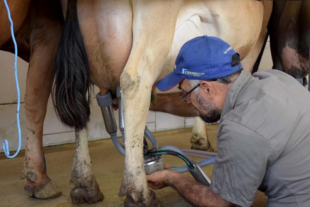 Pool Leite gerencia cerca de 2,5 milhões de litros de leite por dia com soluções da Engineering. Foto Toninho Anhaia