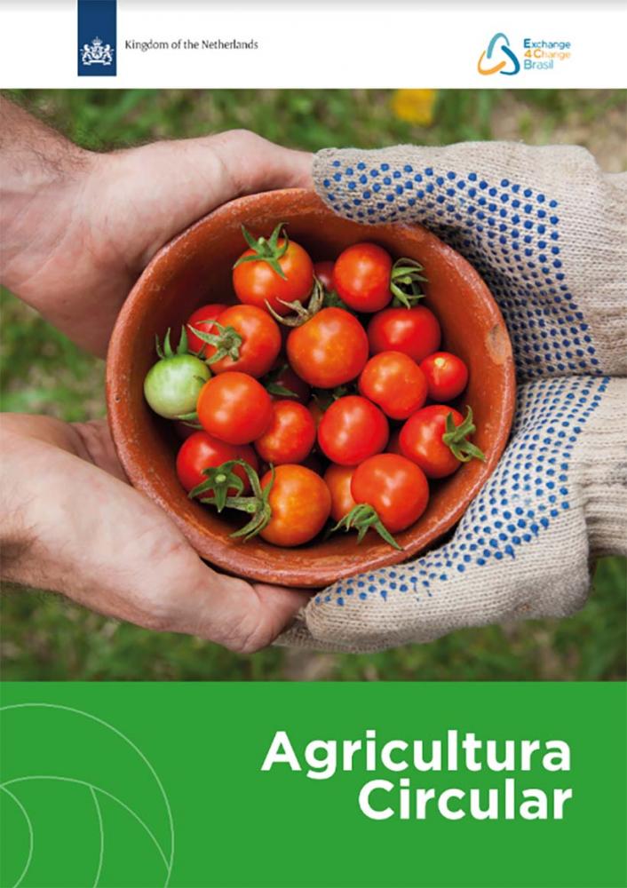 O estudo da E4CB reitera que, na agricultura, a economia circular cria um potencial de destaque dos produtores brasileiros frente ao mercado internacional. A transição prepara os negócios para atender a critérios globais cada vez mais rígidos e mitiga os 