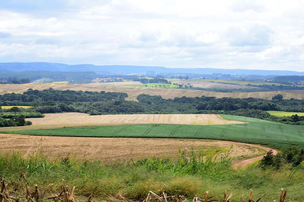 O RegularizAgro visa agilizar a regularização ambiental dos imóveis rurais, principalmente com a implantação dos mecanismos previstos no Código Florestal. 