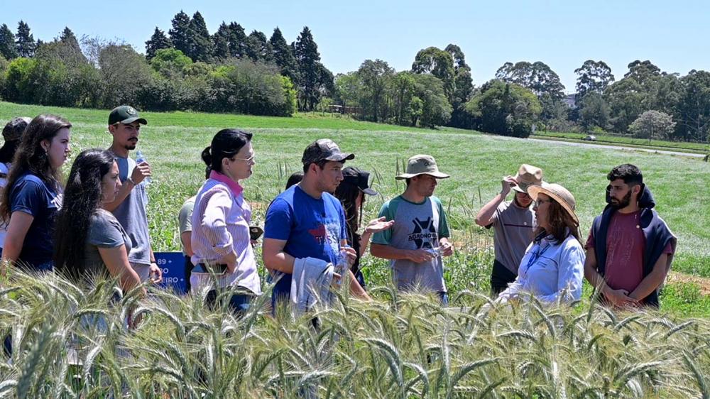 Mais de 160 participantes compareceram ao Dia de Campo de Cereais de Inverno no Pólo Regional de Pesquisa e Inovação do IDR-Paraná de Ponta Grossa. Fotos Toninho Anhaia.