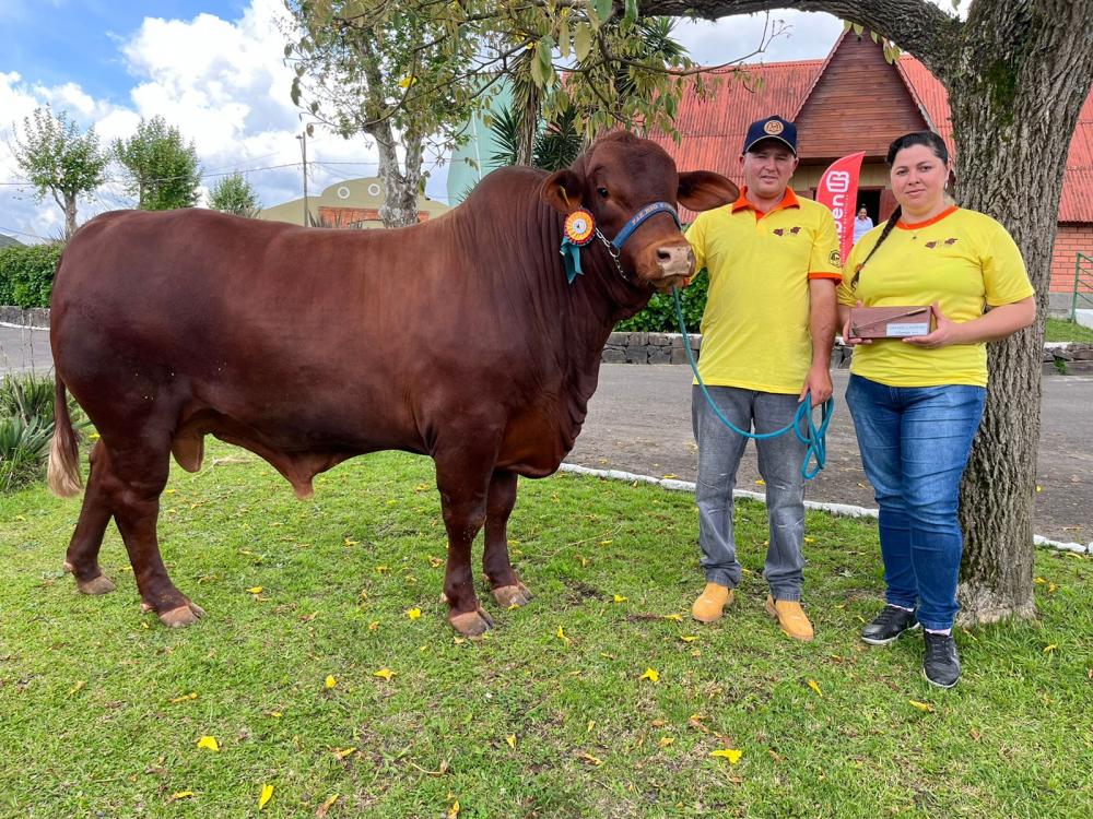 Grande campeão Bravon - fotos: Istélio Camargo