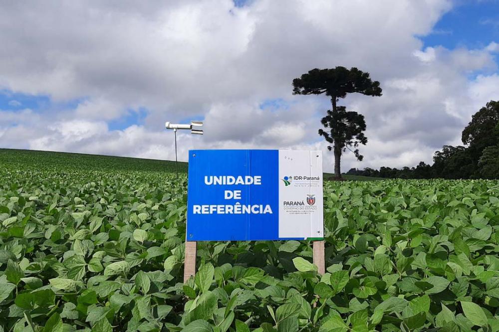 IDR-Paraná inicia os trabalhos da rede Alerta Ferrugem da soja safra 2022/2023 - Foto: IDR-PARANÁ