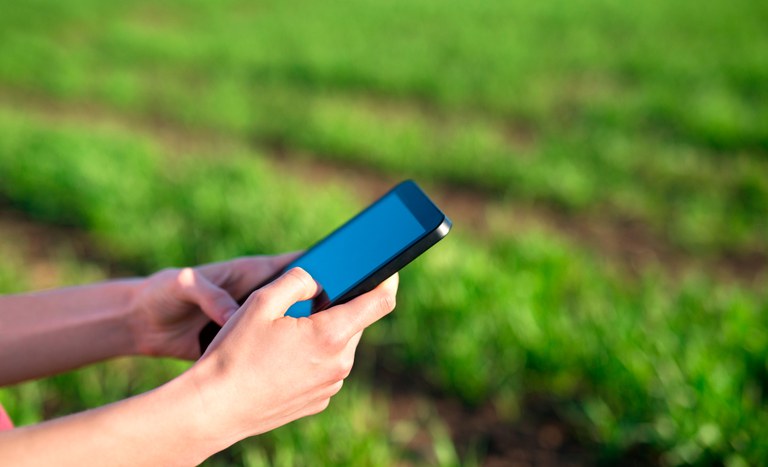 CCU pode ser solicitado via internet. Documento assegura a posse do lote no assentamento e o acesso a crédito. - Foto: Freepik