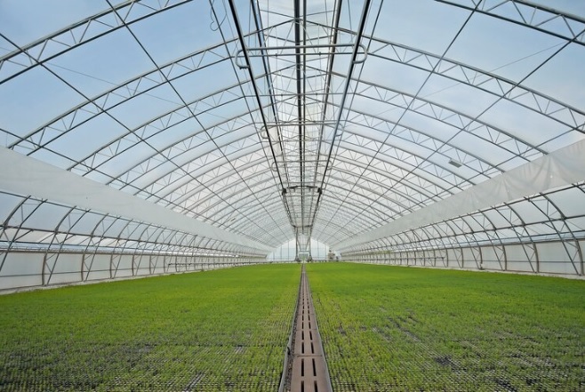 Existem diferentes modelos de estufas agrícolas no mercado. Dependendo do cultivo, o agricultor pode adaptar a estrutura para atender às necessidades de cada planta, além de contar com a opção de diversos materiais, como PVC, madeira e aço. “