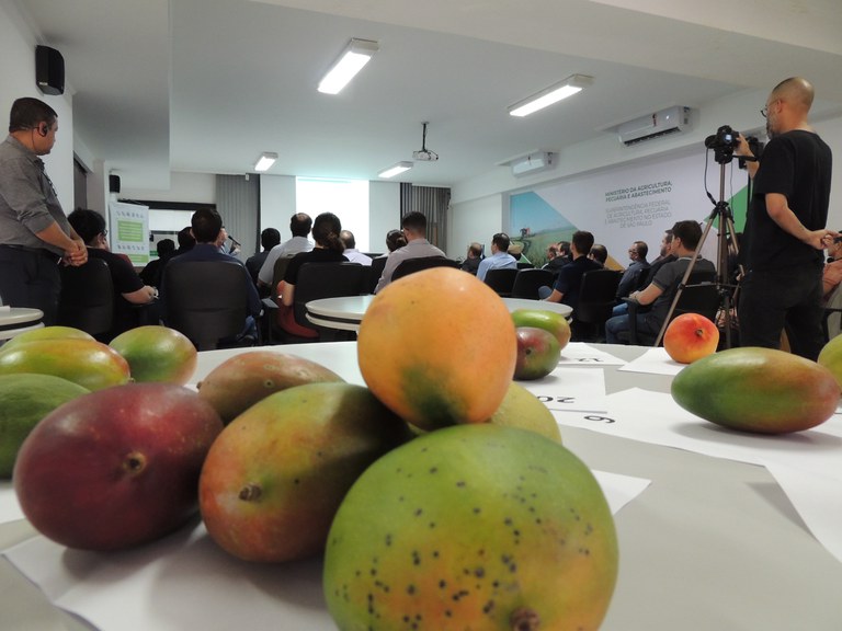 O treinamento foi organizado pelo Departamento de Inspeção de Produtos de Origem Vegetal (Dipov) do Ministério da Agricultura, Pecuária e Abastecimento (Mapa).