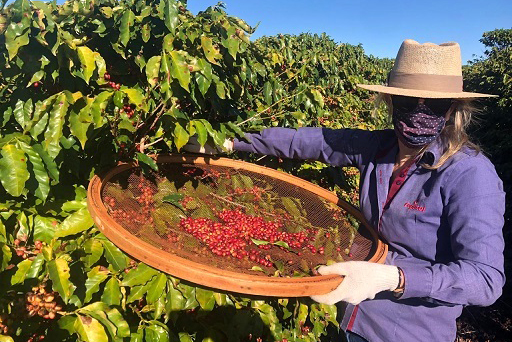 As mulheres contam com o apoio de técnicos do Instituto de Desenvolvimento Rural do Paraná – Iapar-Emater (IDR-Paraná) e da Copacol.