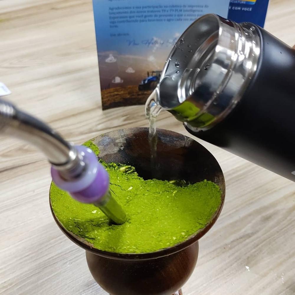 Após um trabalho intenso de pesquisa, as organizações descobriram que o fungo Beauveria bassiana, encontrado no mesmo bioma da erva-mate, revelou-se um predador natural e eficiente dos besouros. Foto Toninho Anhaia