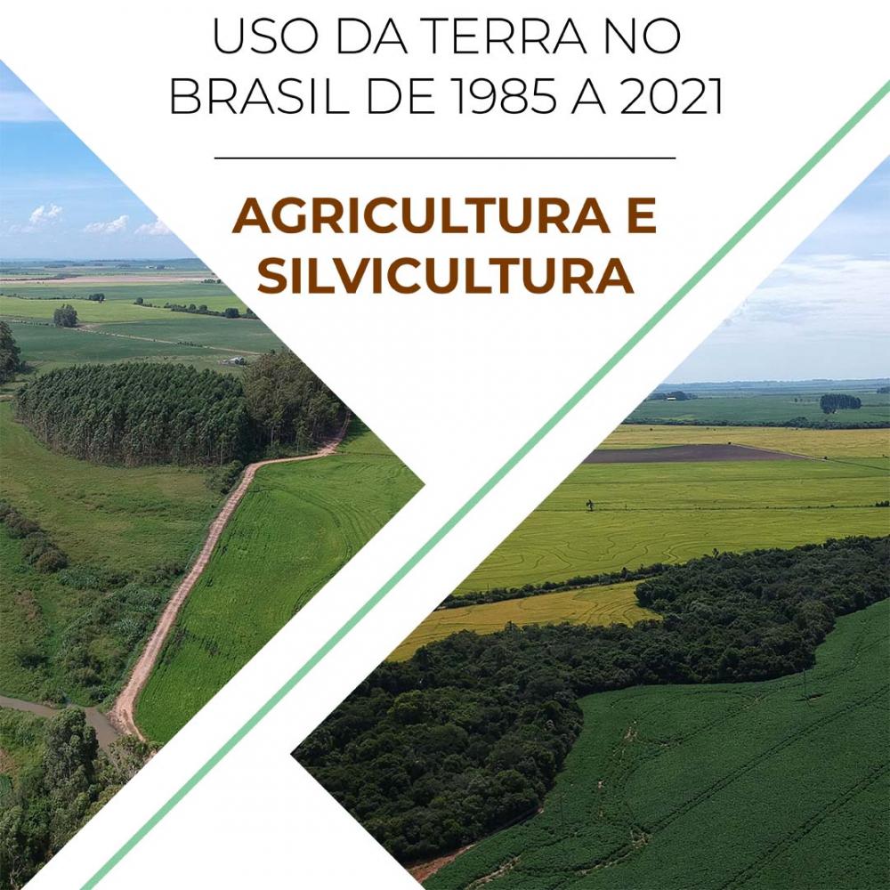 O MapBiomas divulga o mais recente levantamento sobre ocupação do território brasileiro por atividades agrícolas e silvicultura feito a partir de imagens de satélite e classificação automatizada
