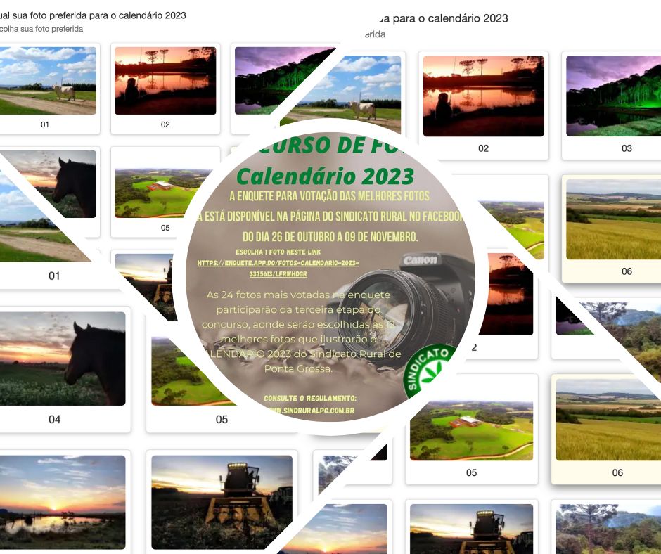 A foto vencedora irá abrir o mês de Janeiro de 2023