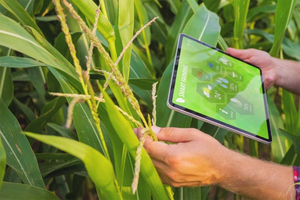 Atenta ao processo de transformação digital da agropecuária e das necessidades de desenvolvimento de mais tecnologias que impulsionem o setor, a SRP tem se tornado referência nacional para programas e projetos tecnológicos.
