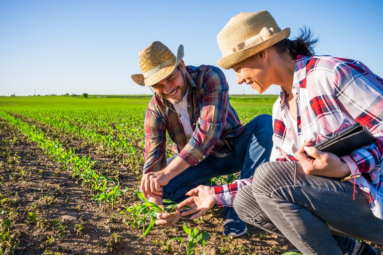 O instrumento é utilizado para identificar e qualificar as Unidades Familiares de Produção Agrária (UFPA) da agricultura familiar, os Empreendimentos Familiares Rurais e as formas associativas de organização da agricultura familiar. 
