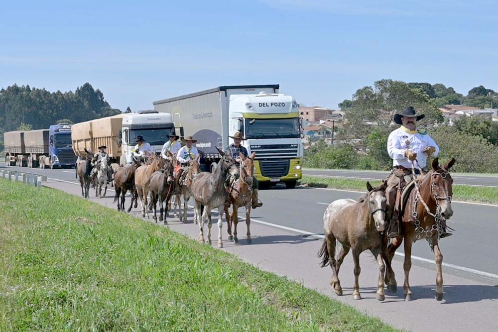 Caminho dos Tropeiros foi um percurso muito importante para economia do Brasil, pois era no lombo das mulas que entram transportadas as riquezas sendo responsáveis por uma série de transformações ao longo do séc. XVIII. Fotos Toninho Anhaia