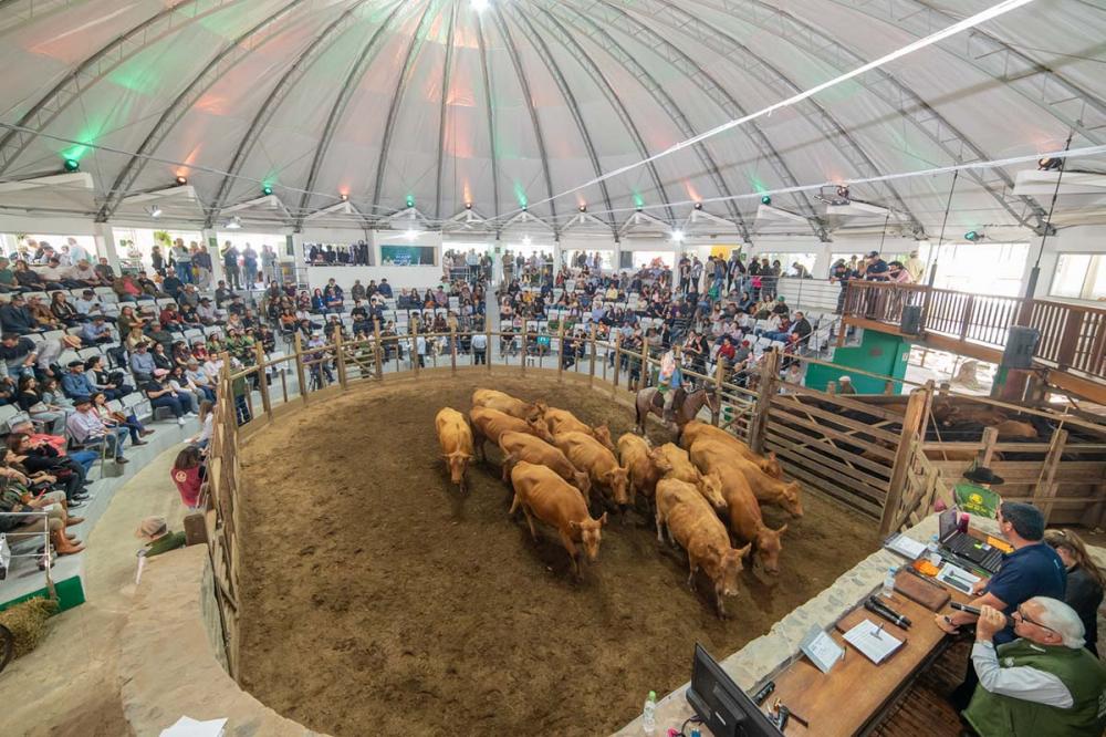 Promovida no primeiro dia do evento, a Feira de Terneiros registrou um faturamento de R$ 3,51 milhões, com a venda de 1.465 animais, de 25 pecuaristas