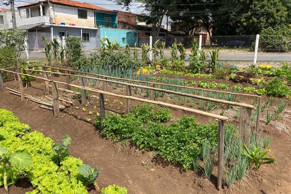 Outro programa corporativo da Copel que incentiva os hábitos alimentares saudáveis é o Cultivar Energia, que propicia a montagem hortas comunitárias em imóveis sob as linhas de transmissão e distribuição.