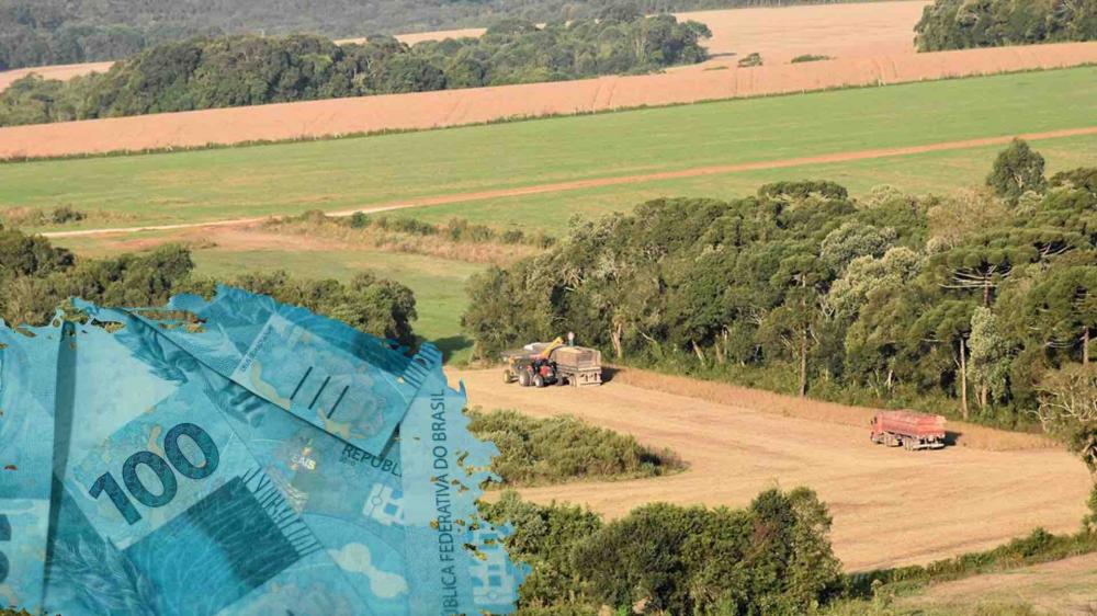 O aumento na contratação de financiamentos de custeio decorreu da elevação dos custos de produção e das oportunidades de mercado ditadas por condições favoráveis de preço e de demanda. 