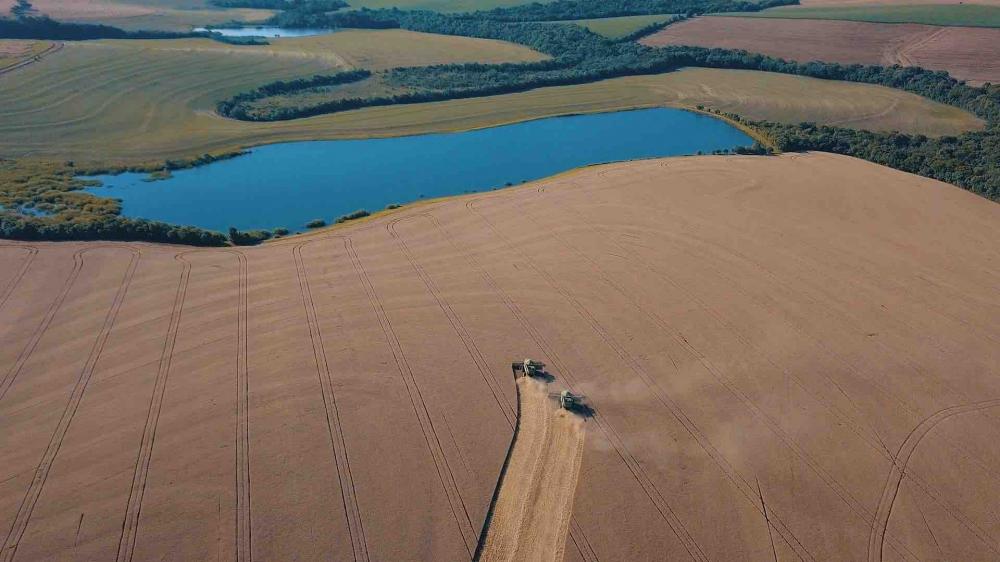 De acordo com estimativas da Conab, em 2022 o Brasil deve expandir sua área de trigo tanto em regiões mais tradicionais, como o Sul do país, quanto em novas áreas, como o Cerrado. Foto Divulgação Biotrigo/Guilherme Geller 