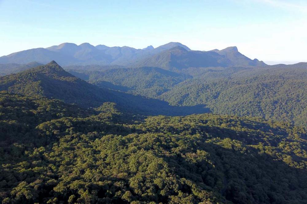 Para realizar uma obra que possua supressão de vegetação, é aberto um processo no órgão ambiental estadual, que o remete ao Ibama, junto com uma série de documentações. O pedido dos Estados, segundo o diretor, é que esse processo seja simplificado.