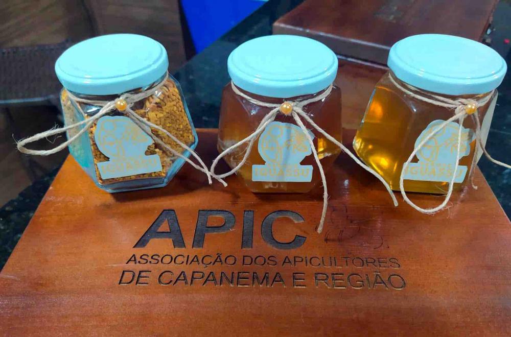A Associação dos Apicultores de Capanema e Região (Apic), do sudoeste do Paraná, recebeu a concessão de registro da marca coletiva “Parque Iguassu” em produtos como o mel e própolis. O pedido foi concedido pelo Instituto Nacional de Propriedade Industrial