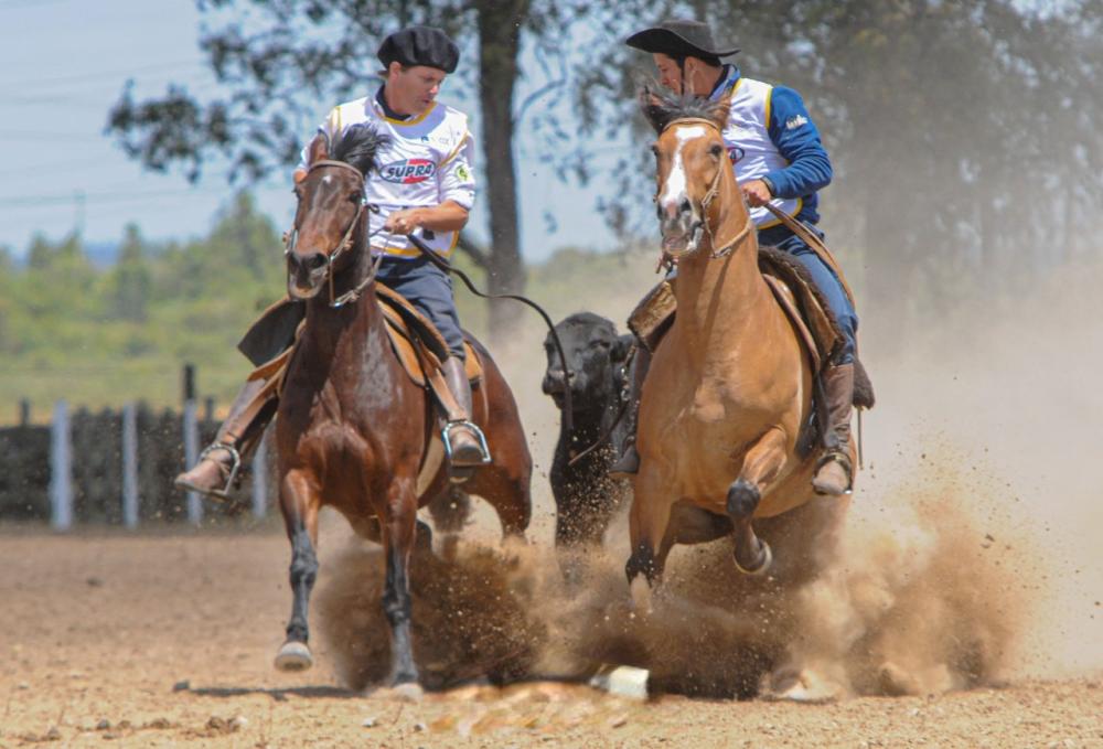 Foto: Maurício Vinhas/Divulgação