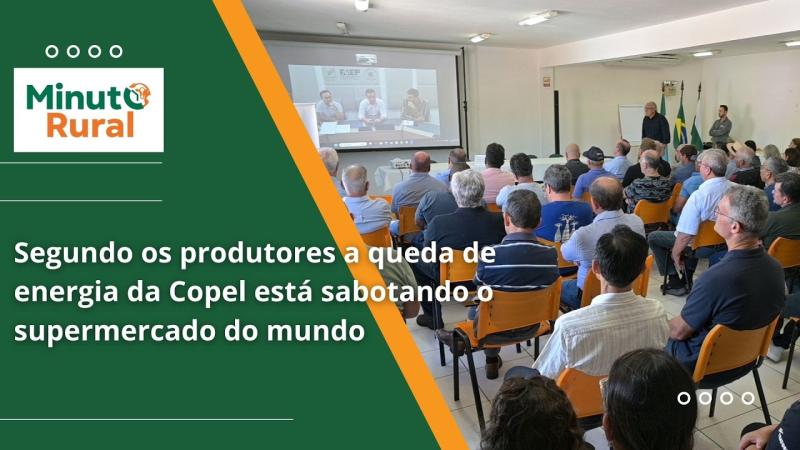  Segundo os produtores a queda de energia da Copel está sabotando o supermercado do mundo