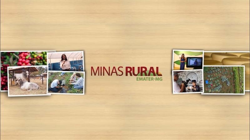Juventude Rural e Sucessão na Agricultura Familiar são temas de webinar no Dia Internacional da Juventude