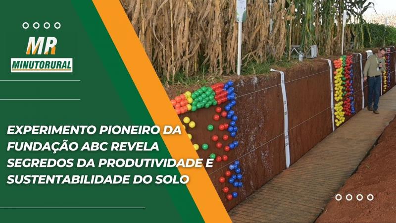 Experimento pioneiro da Fundação ABC revela segredos da produtividade e sustentabilidade do solo