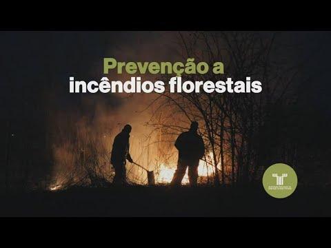 Campanha de prevenção a incêndios - uma floresta segura depende de todos nós