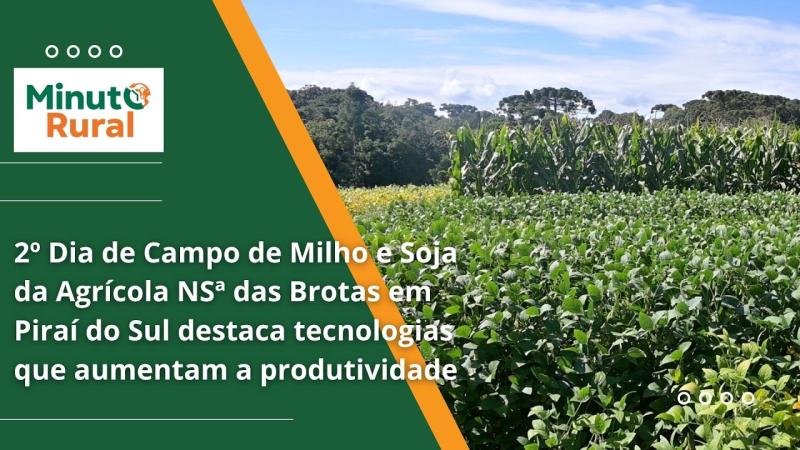  2º Dia de Campo de Milho e Soja em Piraí do Sul destaca tecnologias que aumentam a produtividade