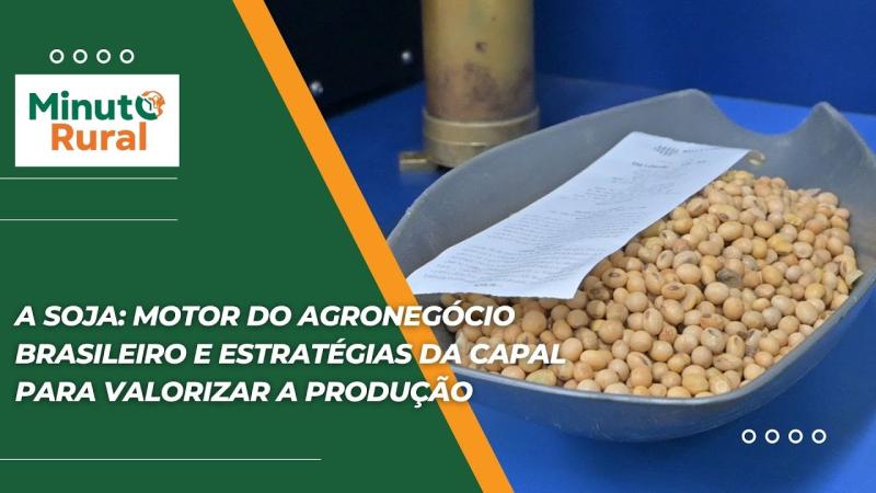 A Soja: Motor do Agronegócio Brasileiro e Estratégias da Capal para Valorizar a Produção