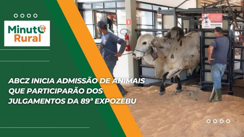 ABCZ inicia admissão de animais que participarão dos julgamentos da 89ª ExpoZebu
