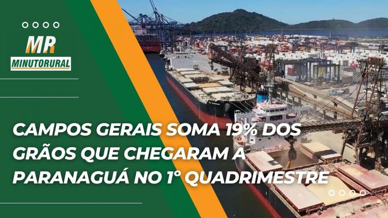 Campos Gerais soma 19% dos grãos que chegaram a Paranaguá no 1º quadrimestre