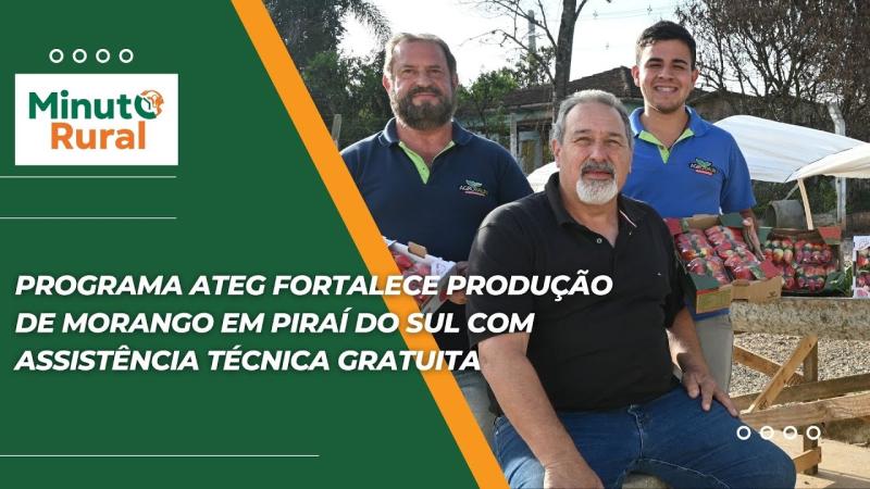 Programa ATEG fortalece produção de morango em Piraí do Sul com assistência técnica gratuita