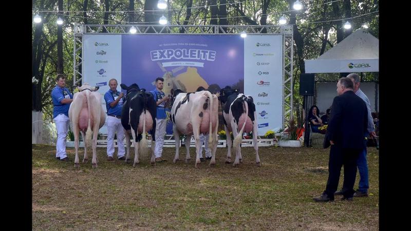 48º Expoleite, em Arapoti sucesso de público e de negócios