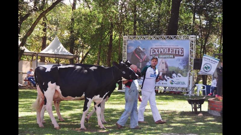 Cooperativa Capal promove a 48º Expoleite, entre os dias 13 a 16 de julho em Arapoti.