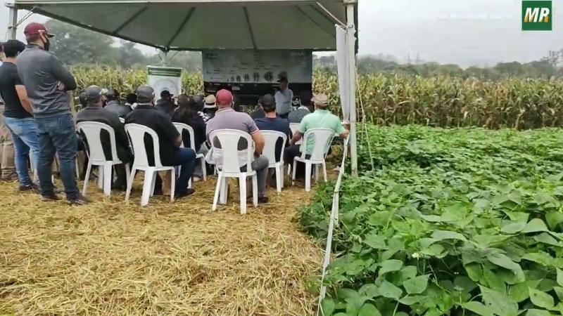 32º Edição do Centro Sul Feijão e Milho difundiu conhecimento para agricultura familiar