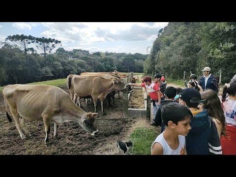 Crianças visitam leiteria e aprendem sobre sustentabilidade para escrever redação do Projeto Agrinho