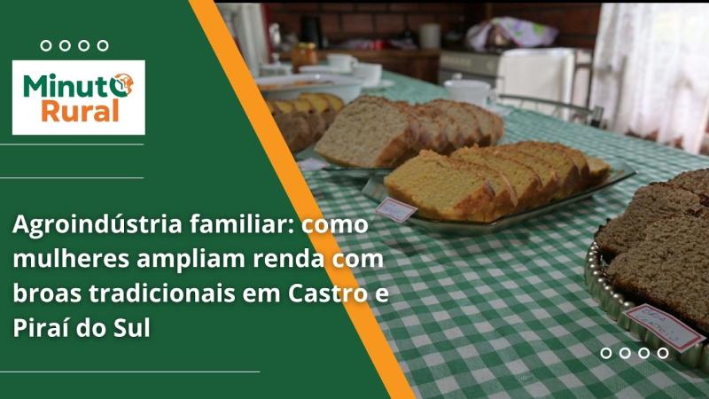  Agroindústria familiar: como mulheres ampliam renda com broas tradicionais em Castro e Piraí do Sul