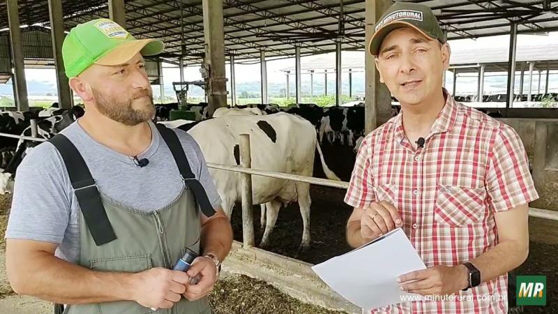 Conheça uma ferramenta surpreendente para analisar o colostro em segundos