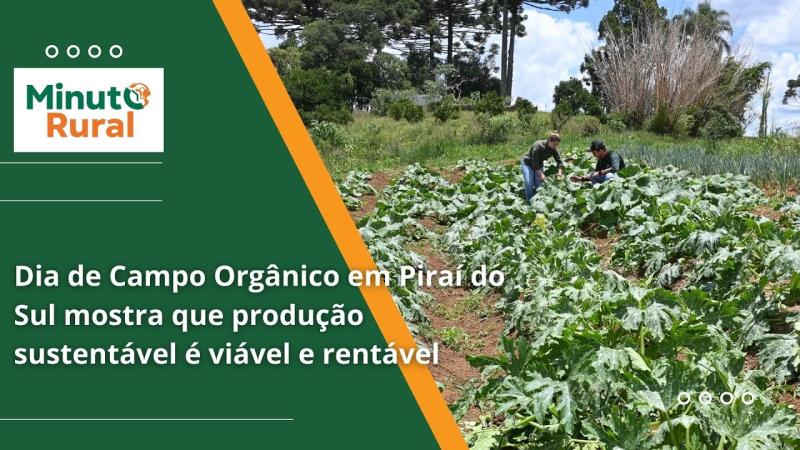  Dia de Campo Orgânico em Piraí do Sul mostra que produção sustentável é viável e rentável