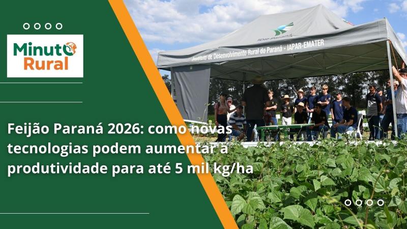  Feijão Paraná 2026: como novas tecnologias podem aumentar a produtividade para até 5 mil kg/ha