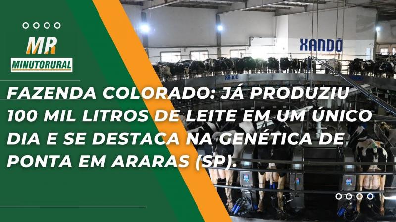 Fazenda Colorado: Já produziu 100 mil litros de leite em um único dia e se destaca na genética.