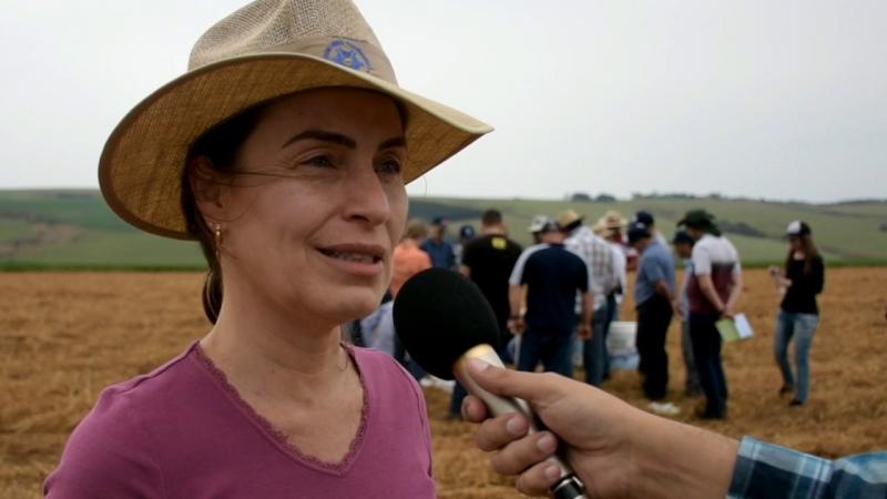 Minicurso Conservação dos Solos