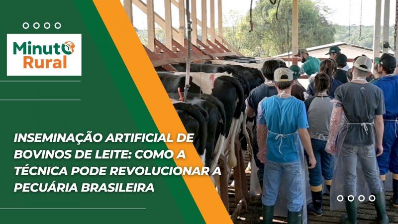 Inseminação Artificial de Bovinos de Leite: Como a técnica pode revolucionar a pecuária brasileira