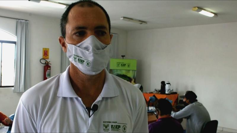 Aprenda a importância da classificação de grãos de feijão.