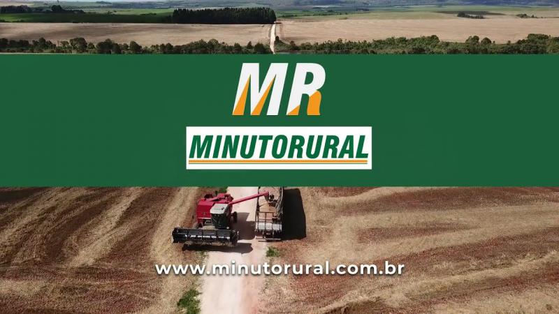 Minuto Rural 