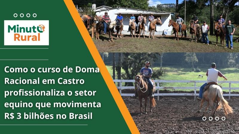  Como o curso de Doma Racional em Castro profissionaliza o setor equino que movimenta R$ 3 bilhões